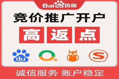 百度SEM推广策略：成功案例解析